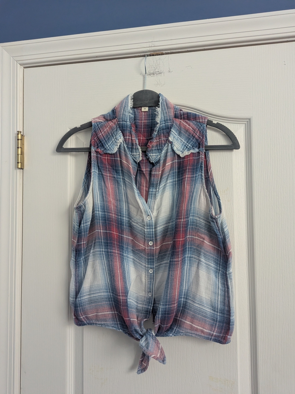 cloth & stone Sleeveless Plaid Button-Front Tie Top in Blue and Red